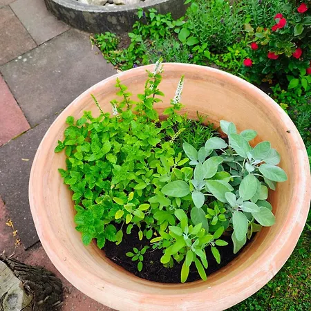 Appartamento Feldzauber